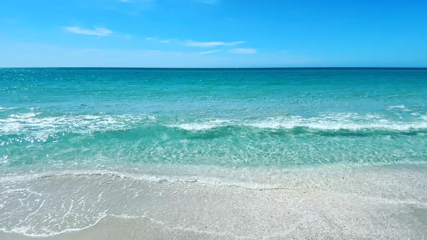 Waves on the beach