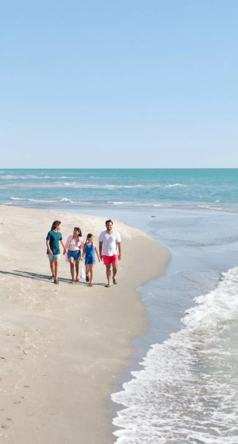 Families reconnect on peaceful beaches